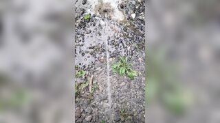 Pissing On The Path 《4k》