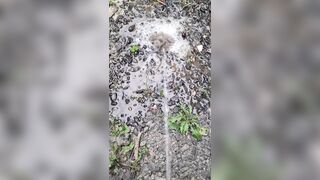 Pissing On The Path 《4k》