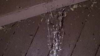 Boardwalk Step Piddle 《4k》