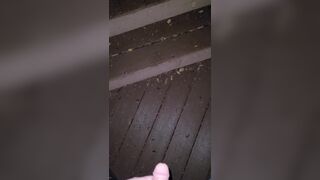 Boardwalk Step Piddle 《4k》