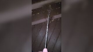 Boardwalk Step Piddle 《4k》