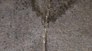 Short Carpet Void urine 《4k》