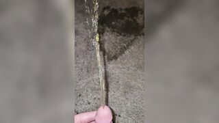 Short Carpet Void urine 《4k》