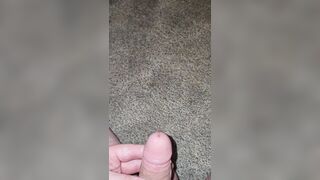 Short Carpet Void urine 《4k》