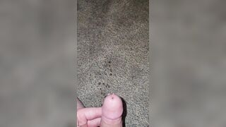 Short Carpet Void urine 《4k》