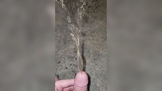 Short Carpet Void urine 《4k》