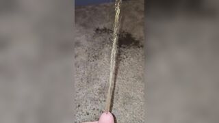 Short Carpet Void urine 《4k》