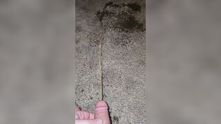 Short Carpet Void urine 《4k》