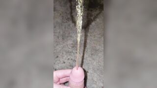 Short Carpet Void urine 《4k》