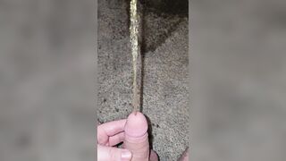 Short Carpet Void urine 《4k》