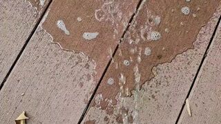 Boardwalk Piddle 《4k》