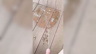 Boardwalk Piddle 《4k》