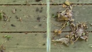 Public Park Void urine In Gazebo 《4k》