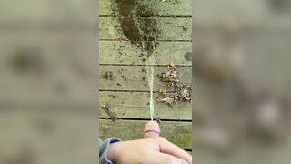 Public Park Void urine In Gazebo 《4k》