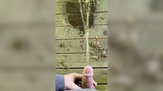 Public Park Void urine In Gazebo 《4k》