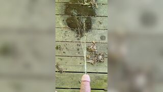 Public Park Void urine In Gazebo 《4k》