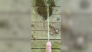 Public Park Void urine In Gazebo 《4k》