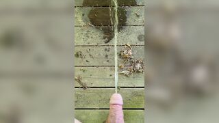 Public Park Void urine In Gazebo 《4k》