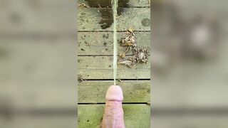 Public Park Void urine In Gazebo 《4k》