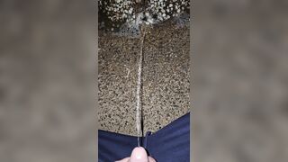 Pissing In The Stones two《4k》