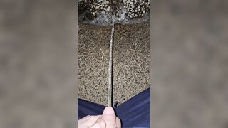 Pissing In The Stones two《4k》