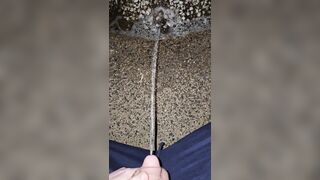 Pissing In The Stones two《4k》