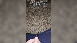 Pissing In The Stones two《4k》