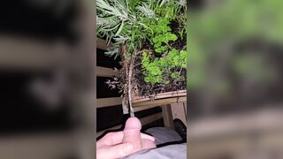 Pissing In The Flowers! 《4k》