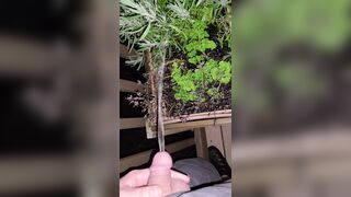 Pissing In The Flowers! 《4k》