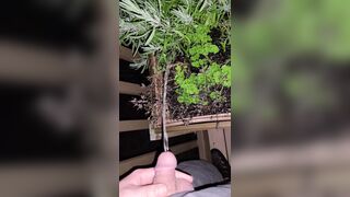 Pissing In The Flowers! 《4k》