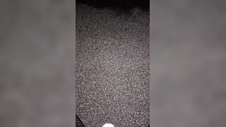 Marking The Mulch two《4K》