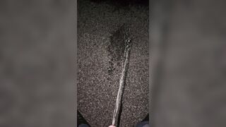 Marking The Mulch two《4K》