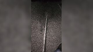 Marking The Mulch two《4K》