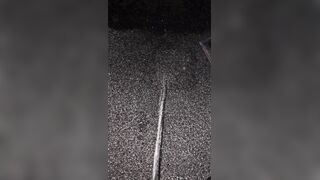 Marking The Mulch two《4K》