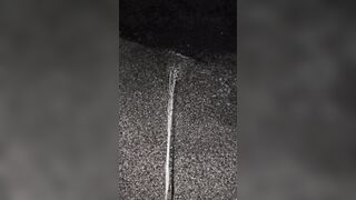 Marking The Mulch two《4K》