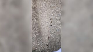 Squatting Piddle 《4k》