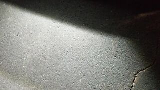 Parking Lot Public Urinate 4