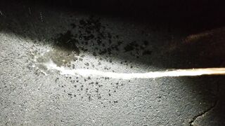 Parking Lot Public Urinate 4