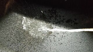 Parking Lot Public Urinate 4