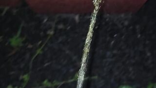 Pissing On The Chair 《4k》