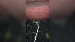 Pissing On The Chair 《4k》