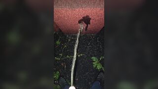 Pissing On The Chair 《4k》