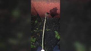 Pissing On The Chair 《4k》