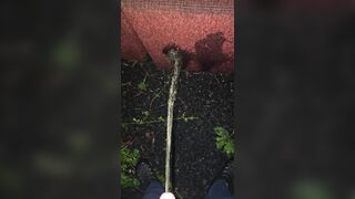 Pissing On The Chair 《4k》