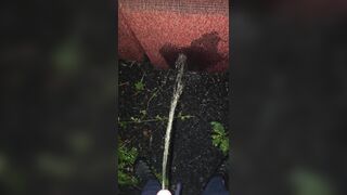 Pissing On The Chair 《4k》