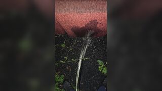 Pissing On The Chair 《4k》