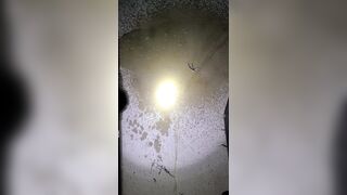 Sidewalk Void urine 《4k》