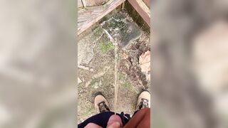 Pissing On The Fence two