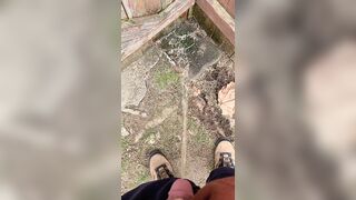 Pissing On The Fence two