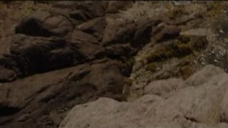 SLAVEMASTER FACE two scn04